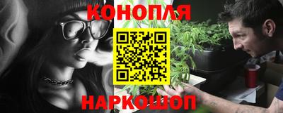 прущие крисы Партизанск